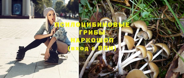 МДПВ Волосово