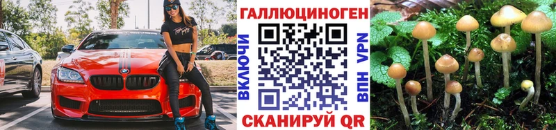 Галлюциногенные грибы Magic Shrooms  Ноябрьск 